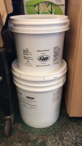 urban garden, urban jungle container gardening