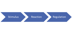 Stimulus, reaction, regulation